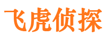 秦安市私家侦探公司